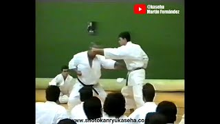 1993 Taiji Kase Heian Nidan Bunkai and much more [upl. by Esydnac]