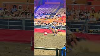 MUJERES DE RODEO EN COWPALACE USA CA  Women of rodeo competing barrel racing shorts [upl. by Myna]