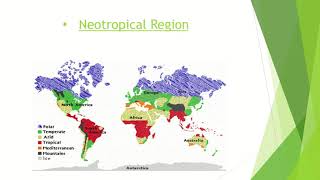 Zoogeographical Regions Zoology LCWUlife Sciences with Mehwish Khan BS 4 years [upl. by Anyk]