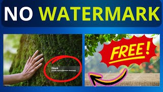 How to Download Stock Images without Watermark [upl. by Mailand833]