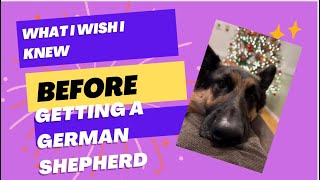 What I wish I knew BEFORE getting a GERMAN shepherd barkfood GSDsofbark  ad [upl. by Sucrad]