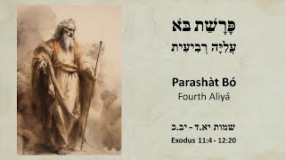 Parashàt Bo Fourth ˁAliyá Exodus 114  1220 [upl. by Telrahc925]