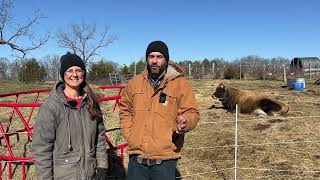 Our Dairy Cow is the MOST Important Animal on the Homestead [upl. by Trahurn]