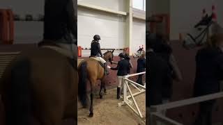 horse equestrian лошади красота рысьлюбимка💗 [upl. by Aloiv]