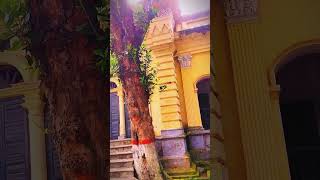 Rajmohol viralvideo shortvideo shorts short nator bdtravel [upl. by Notsej]