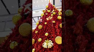 Sparkle and Shine this Holiday Season at Pacific Mall NSPPitampura [upl. by Shanon594]