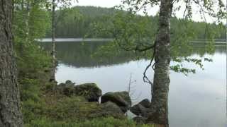 Finnland  Land der Seen und Wälder [upl. by Hsreh]