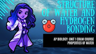 AP Biology CRASH CRAM COURSE Unit 1 Chemistry of Life Structure of Water and Hydrogen Bonding [upl. by Yerfoeg89]