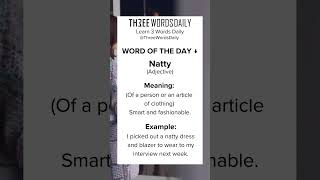 Learn what Natty means english vocabulary learnenglish englishvocabulary shorts [upl. by Rodge]