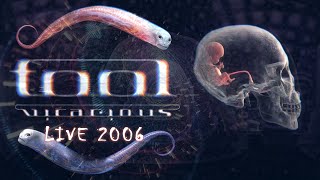 TOOL VICARIOUS Live 2006 10000 Days Performance REMASTERED [upl. by Tratner903]