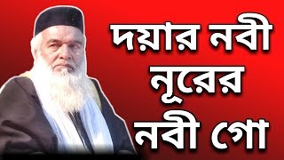 দয়ার নবী নূরের নবী গো  Bangla Islami Video Song  হাফেজ মাওলানা মোকলেছুর রহমান বাঙ্গালী [upl. by Aneert]