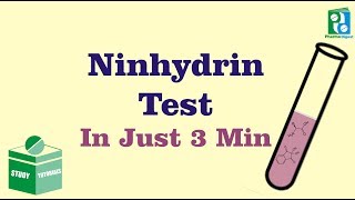 Ninhydrin Test Just in 3 min [upl. by Odragde741]