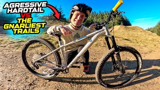 AGGRESSIVE HARDTAIL MTB vs GNARLIEST TRAILS IN THE BIKEPARK [upl. by Ennaeirb]