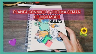 🗓 ORGANIZACION SEMANAL  PLANNER 4° SEMANA DE DICIEMBRE [upl. by Yajet]