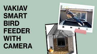 Vakiav Smart Bird Feeder VKG1 with Camera AI Bird Species Detection Full Review [upl. by Esilahc]