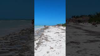 Holbox en el Caribe mexicano [upl. by Orapma]