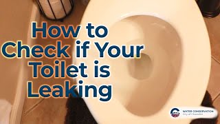 How to Check if Your Toilet is Leaking [upl. by Cletis]