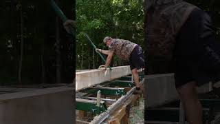 24 Log on a 16 Sawmill shorts [upl. by Trebled]