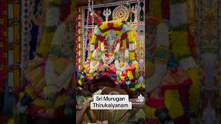 Sri Murugan Thirukalyanam [upl. by Hazlip]