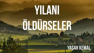 Yılanı Öldürseler Yaşar Kemal sesli Kitap [upl. by Hsoj618]