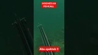 fishing spearing fish spearfishing [upl. by Boor]