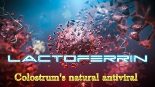 Lactoferrin Colostrums natural antiviral [upl. by Toy51]