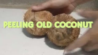 Plants Pal TV is live PEELING OLD COCONUT ASMR SATISFYING SOUNDS [upl. by Schuyler]