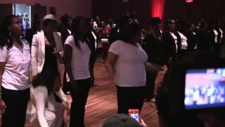 Delta Sigma Theta New York Alumnae Chapter  NIP Probate Spring 2014 [upl. by Flavian]