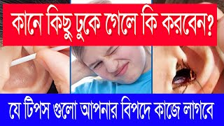 কানে পোকামাকড় বা অন্যকিছু ঢুকে গেলে সাথে সাথে যা করবেন। foreign body in ear [upl. by Eelrahs]