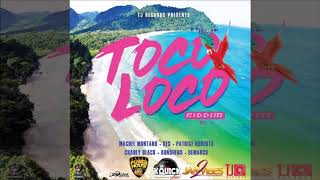 TOCO LOCO RIDDIM MEGA MIX 2019 SOCA [upl. by Arhna241]