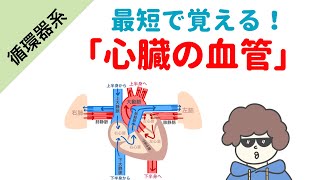 心臓を出入りする血管の覚え方 [upl. by Tricia]