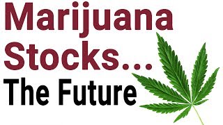 MARIJUANA Stocks in 2019  The Future of Cannabis Stocks [upl. by Noram415]