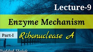 Lecture9  Enzyme Mechanism  Ribonuclease A Catalysis  Acid Base Catalysis type of Reaction [upl. by Fosdick132]