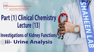 Clinical chemistry  Lecture 13  Investigations of Kidney functions 2   Clinical Pathology Course [upl. by Yurt]