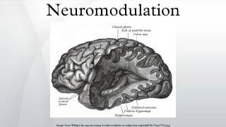 Neuromodulation [upl. by Kathryn13]