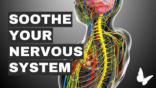 Anxiety amp Your Vagus Nerve in Perimenopause and Menopause with Dr Navaz Habib [upl. by Ayalahs]