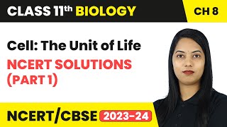 Cell The Unit of Life  NCERT Solutions Part 1  Class 11th Biology Chapter 8  CBSE [upl. by Oicatsana]