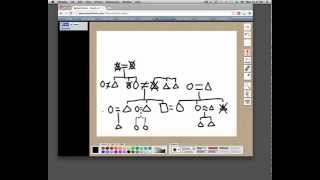 How To Draw a Kinship Diagram [upl. by Melania]