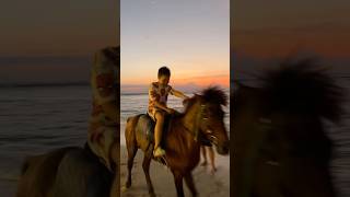 when the son rode away on a horse 🐎 funny crazyfamily crazzyfamily comedy funandcrazyfamily [upl. by Waylan]