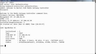 How to Display the Communication Server 1000 Digital Signal Processor Daughter Board Information [upl. by Eceirahs]