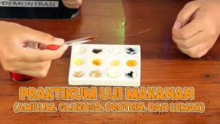 PRAKTIKUM UJI MAKANAN AMILUM GLUKOSA PROTEIN dan LEMAK [upl. by Gustav937]