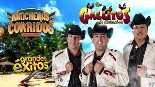 Los Gallitos De Chihuahua â™¦ 25 Exitos Corridos y Rancheras De Coleccion Mix 2024 [upl. by Grimes]