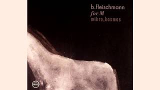 BFleischmann  MikroKosmos [upl. by Amehsat]