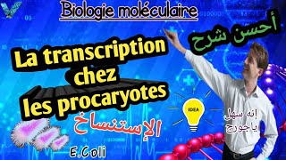 Biologie moléculaire En Arabe Transcription Chez les procaryoteSVI S5 [upl. by Phil781]