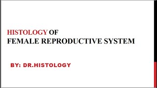 Histology of Female reproductive system Part 1 Ovary  Oviduct  Uterus  Vagina [upl. by Bathesda]