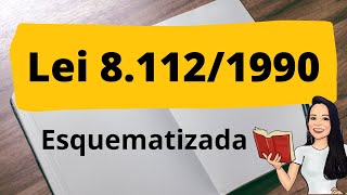 LEI 811290  ANÁLISE ESQUEMATIZADA  Resumo dos principais pontos da Lei 811290  Lei 811290 [upl. by O'Malley]
