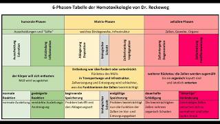 Salutogenese und Homotoxikologie [upl. by Llerdna]