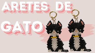 ¡Descubre Cómo Hacer Aretes de Gato Increíbles con Mostacilla Checa [upl. by Katherina372]