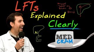 Liver Function Tests LFTs Explained Clearly by MedCramcom [upl. by Ahsekam]