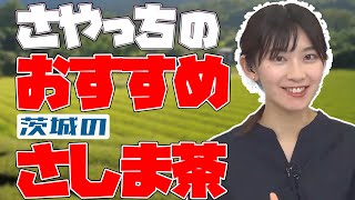 【檜山沙耶】嬉しそうに茨城の『さしま茶』をプレゼン！茨城弁も披露／さやっち／ウェザーニュース／2021年12月4日 [upl. by Lorelei]